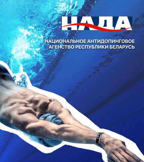 Разработка портала Nada.by